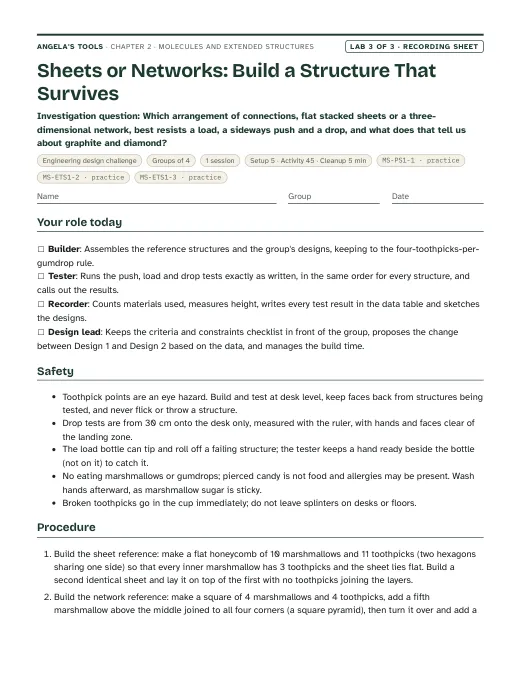 First page of the Sheets or Networks: Build a Structure That Survives recording sheet