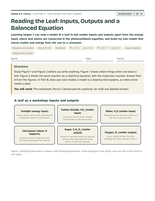 First page of Reading the Leaf: Inputs, Outputs and a Balanced Equation