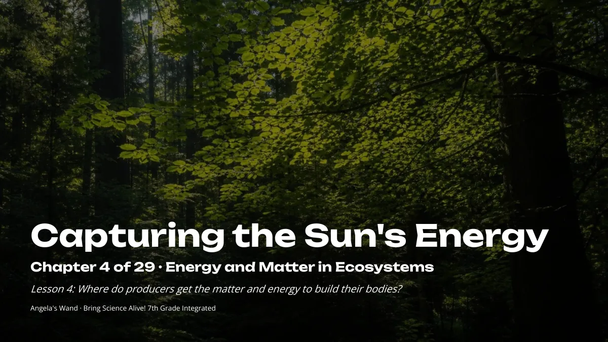 Slide 1: Capturing the Sun's Energy
