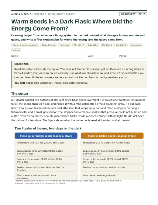 First page of Warm Seeds in a Dark Flask: Where Did the Energy Come From?