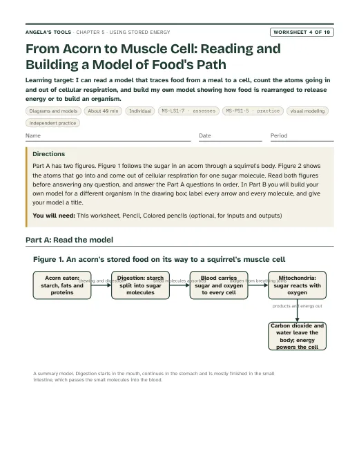 First page of From Acorn to Muscle Cell: Reading and Building a Model of Food's Path