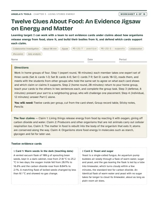 First page of Twelve Clues About Food: An Evidence Jigsaw on Energy and Matter