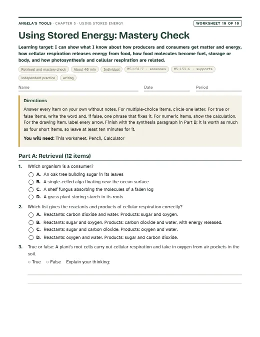 First page of Using Stored Energy: Mastery Check