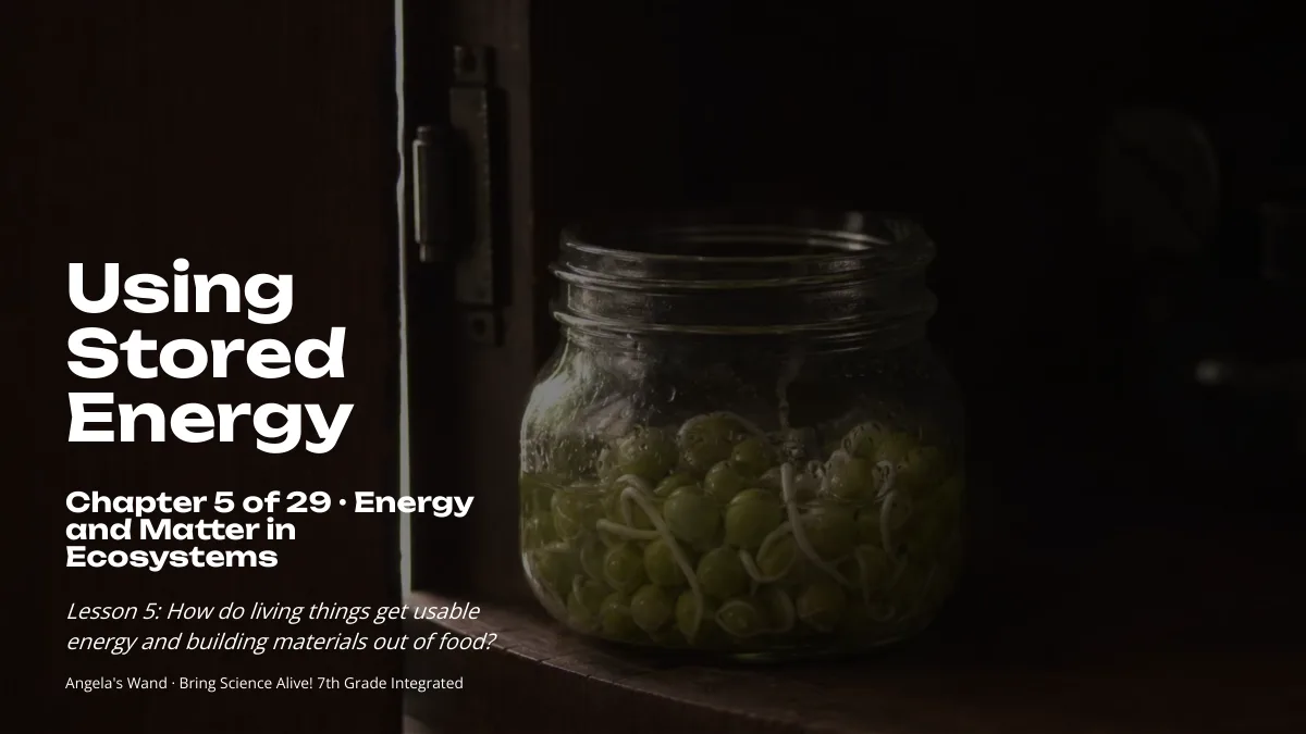 Slide 1: Using Stored Energy