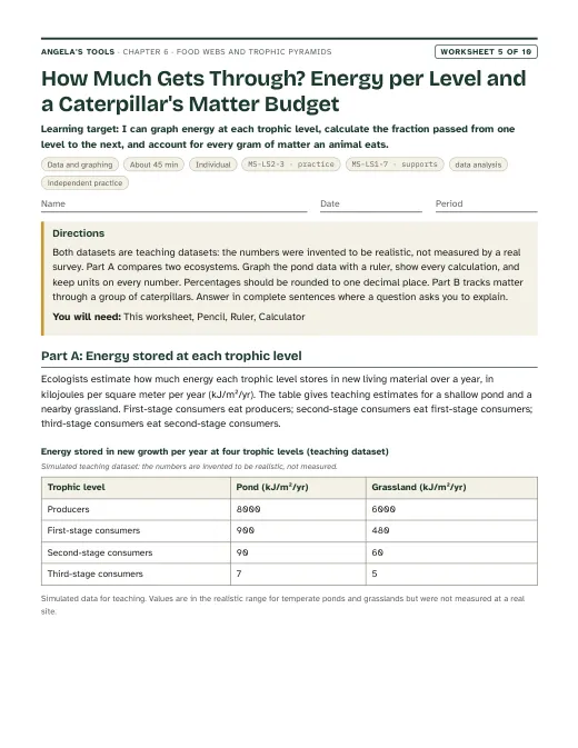 First page of How Much Gets Through? Energy per Level and a Caterpillar's Matter Budget