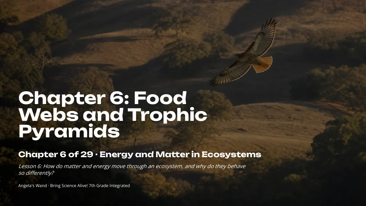 Slide 1: Food Webs and Trophic Pyramids