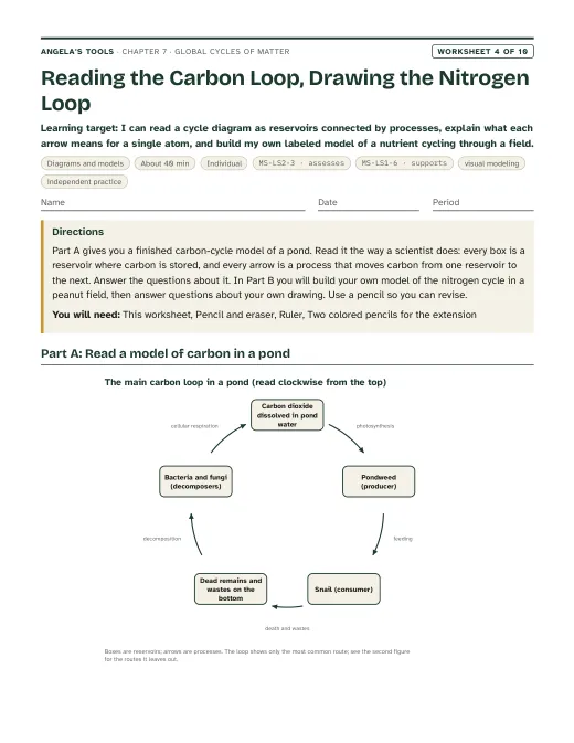 First page of Reading the Carbon Loop, Drawing the Nitrogen Loop