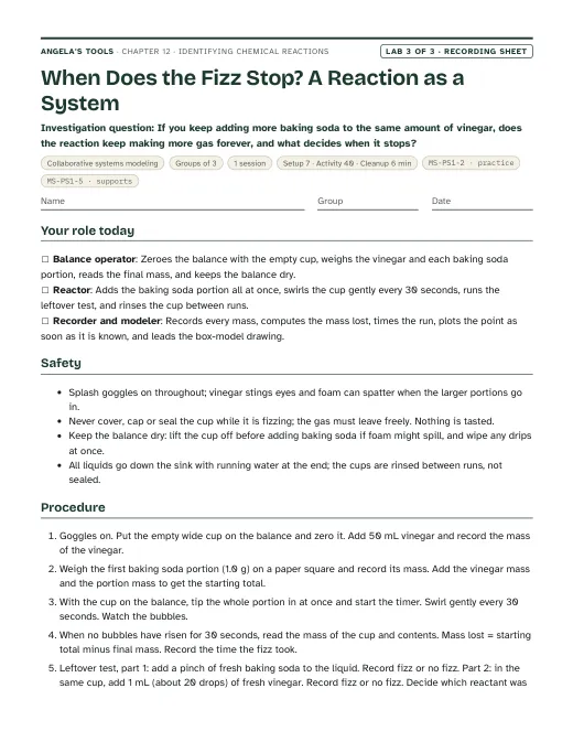 First page of the When Does the Fizz Stop? A Reaction as a System recording sheet