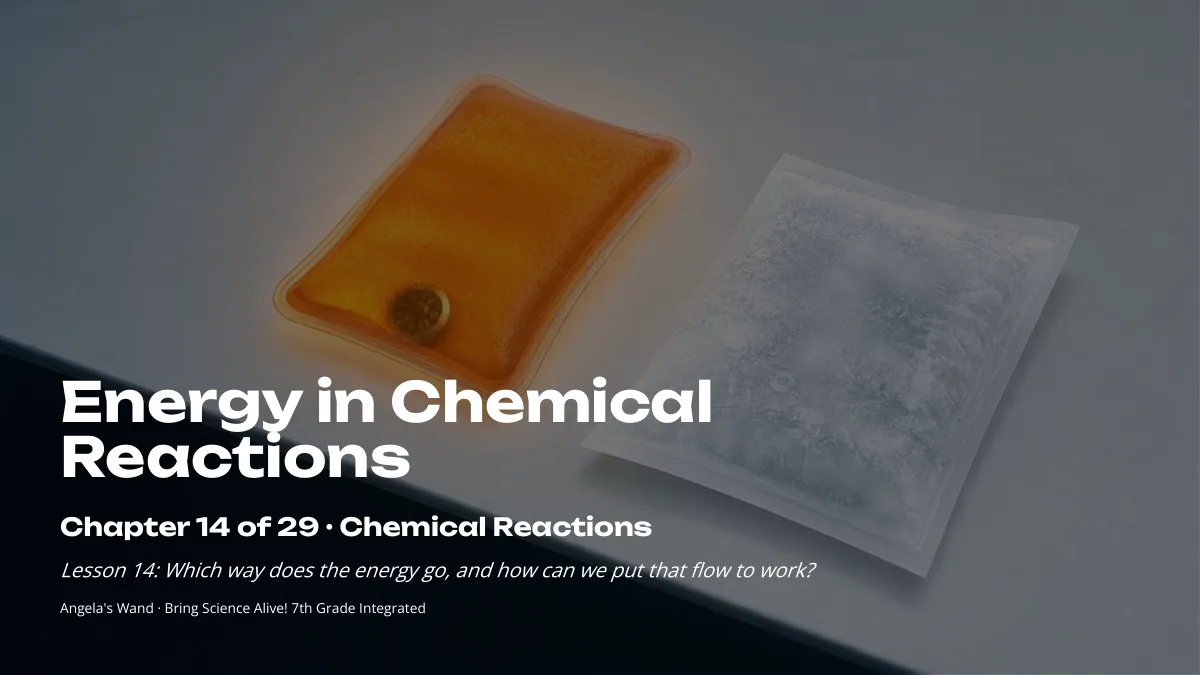 Slide 1: Energy in Chemical Reactions