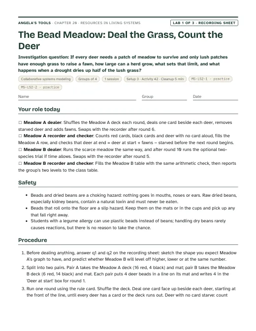 First page of the The Bead Meadow: Deal the Grass, Count the Deer recording sheet
