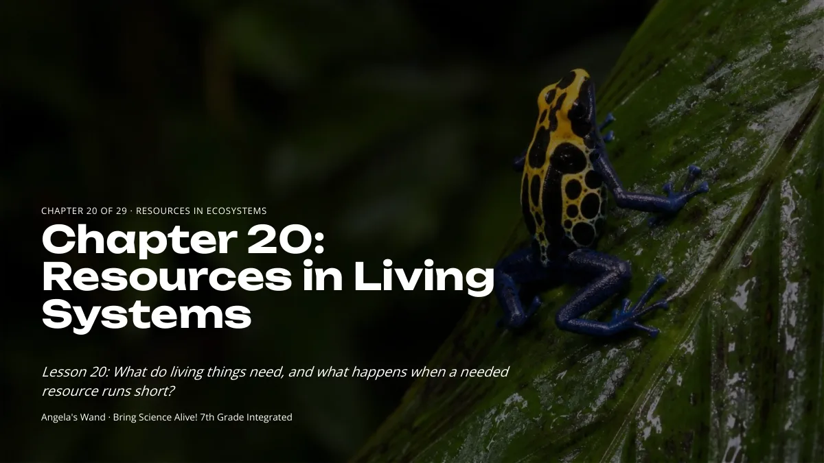 Slide 1: Resources in Living Systems