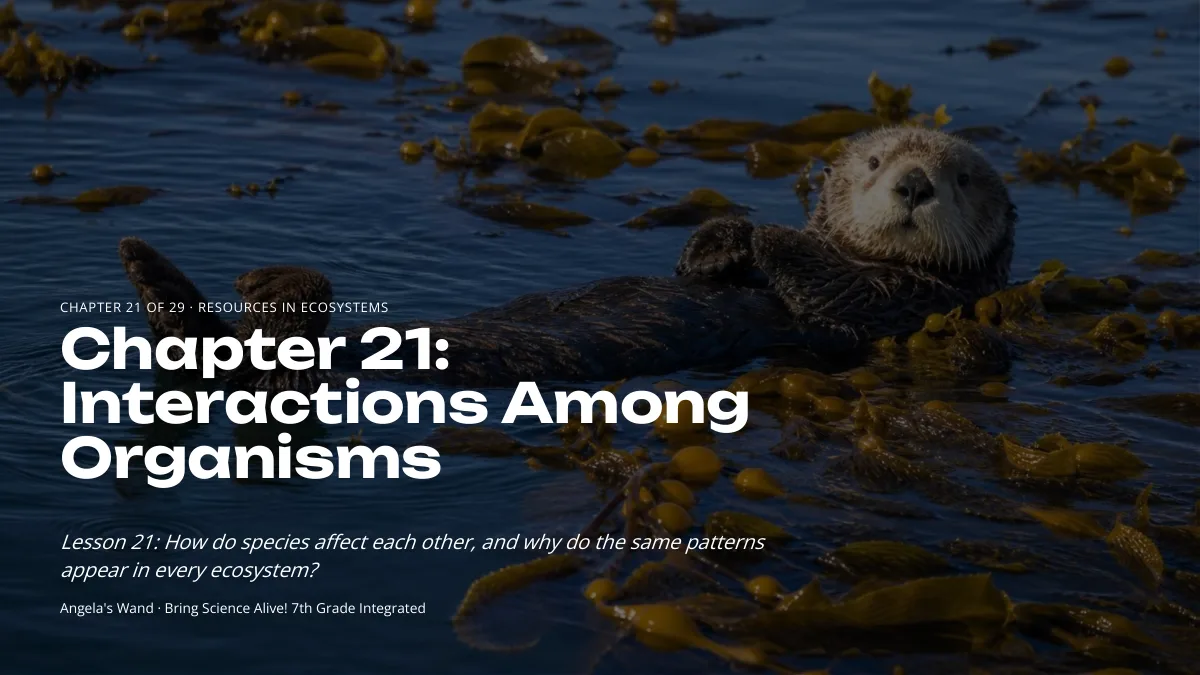 Slide 1: Interactions Among Organisms