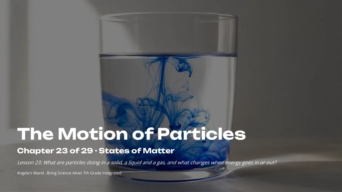 Slide 1: The Motion of Particles