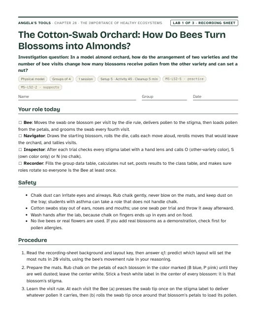 First page of the The Cotton-Swab Orchard: How Do Bees Turn Blossoms into Almonds? recording sheet