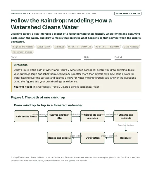 First page of Follow the Raindrop: Modeling How a Watershed Cleans Water